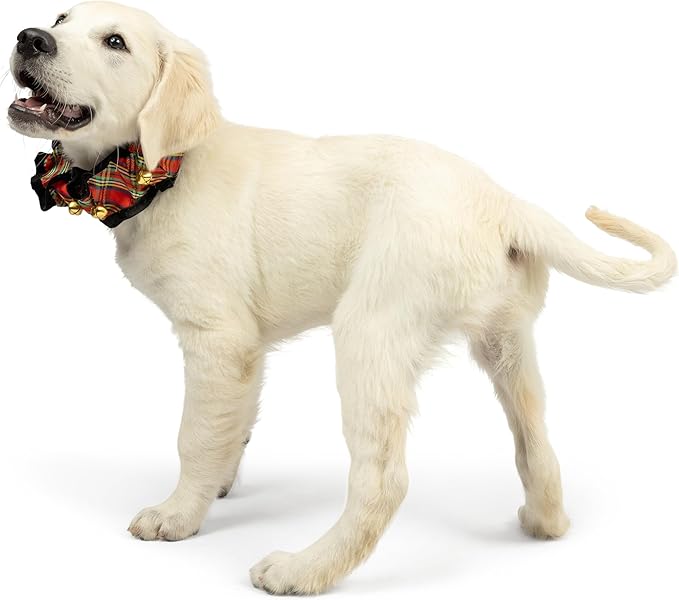 Huxley & Kent Ruff Pet Scrunchy | Shiny Christmas Plaid (Small) | Festive Christmas/Holiday Neckwear for Dogs/Cats | Fun Stretchable Costume Accessory | Soft Collar with Bells