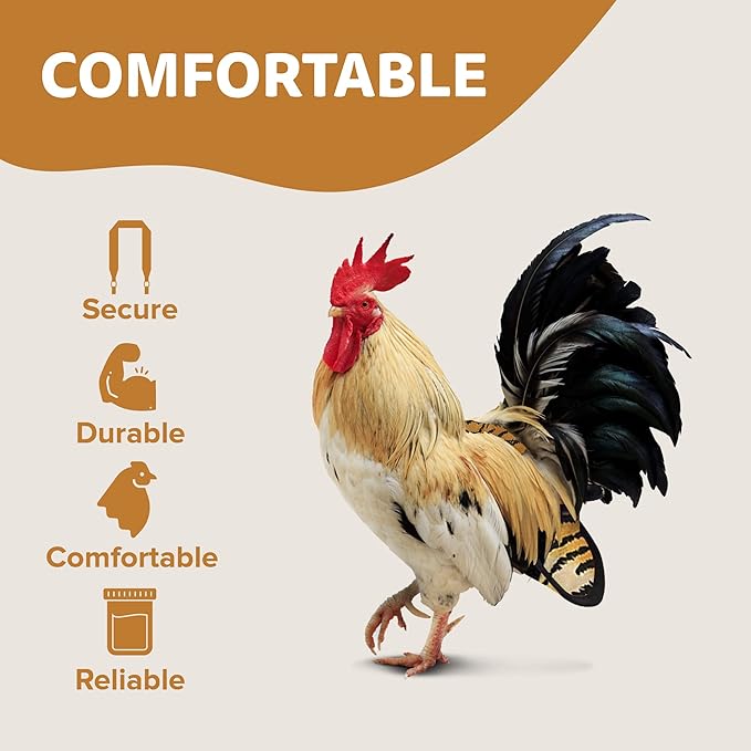 Hen Holster Wrap-Around Bird Diaper & Harness for Hens, Roosters, Ducks, Geese - with Removable Vinyl Liner, Adjustable Fit for Outdoor Adventures & Indoor Use - Easy to wear - Large, Tiger