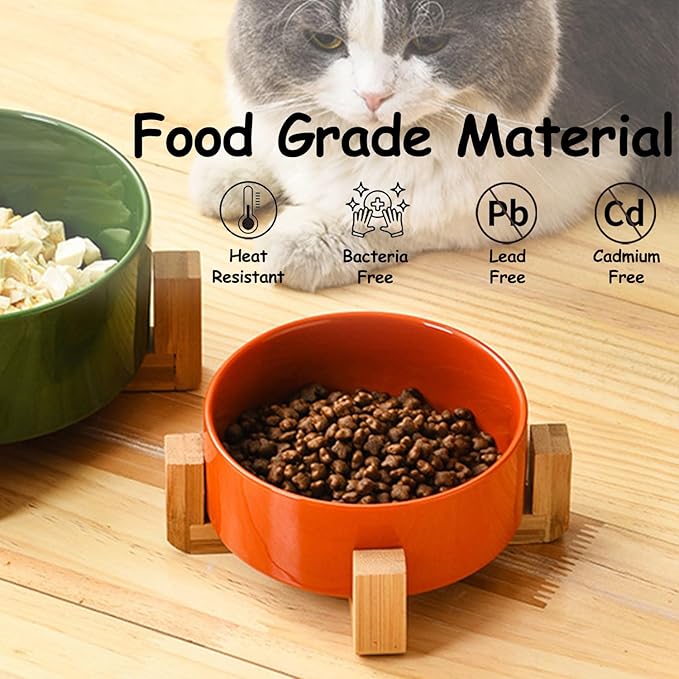 Petygooing Ceramic Dog Bowl Set with Stand, Small Cat Dog Food and Water Bowl, Anti-Slip Set of 2 Bowls - 13.5 OZ (5.1In / 1.7 Cups) Rust Red