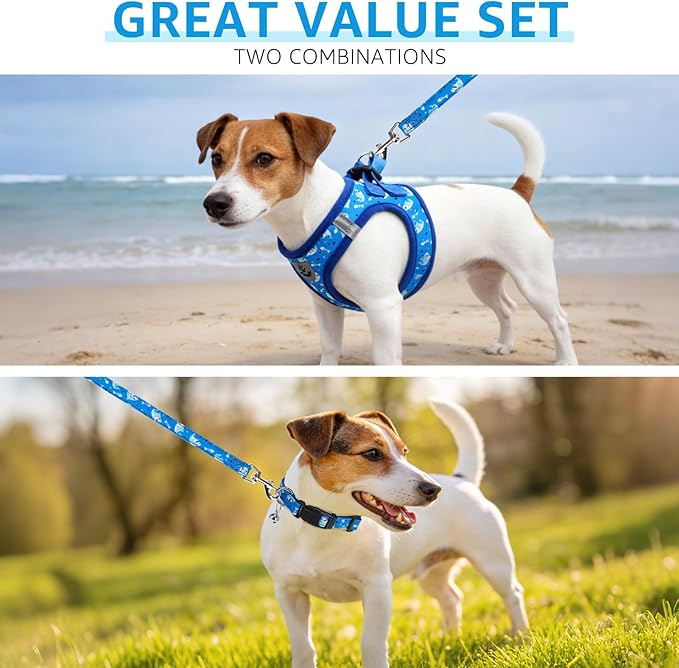 SCENEREAL Small Dog Harness and Leash Collar Set, Step in Soft Light Puppy Vest, Breathable Pet Harness for Small Sized Dogs, No Chock Reflective for Safe Outdoor Walking, Blue Shark S