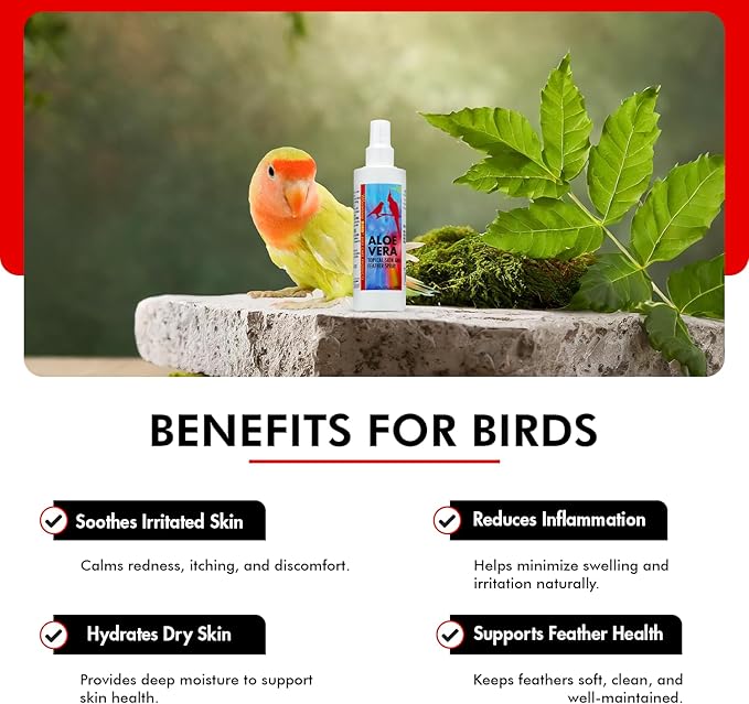 Morning Bird Aloe Vera Spray – Natural Cleaner Spray for All Birds – Soothes Dry Skin & Supports Healthy Skin – Easy-to-Use Spray Bottle for Gentle Hydration & Skin Relief 4 Fl Oz