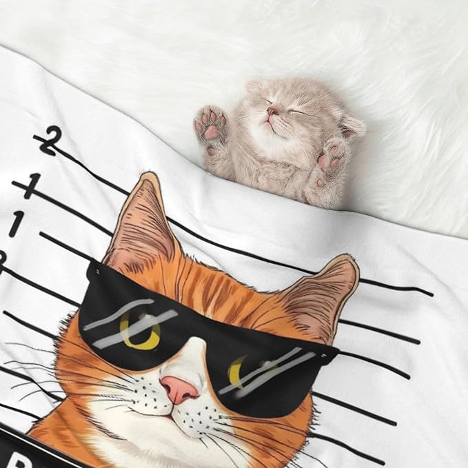 Cat Holding Mugshot Sign Print Soft Plush Pet Blanket, Washable Dog Blanket, Cat Fleece Throw, Puppy Bed Crate Mat & Sofa Couch Protector - Small