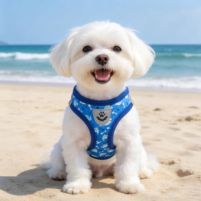SCENEREAL Small Dog Harness and Leash Collar Set, Step in Soft Light Puppy Vest, Breathable Pet Harness for Small Sized Dogs, No Chock Reflective for Safe Outdoor Walking, Blue Shark S