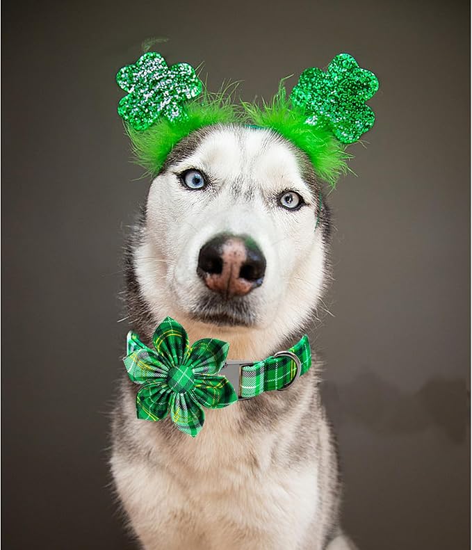 Lionheart glory St. Patrick's Day Dog Collar with Flower Dog Collar for X-Small Dogs, Green Plaid Cute Collars Spring Dogs Collars Flower Puppy Heavy Duty Cute
