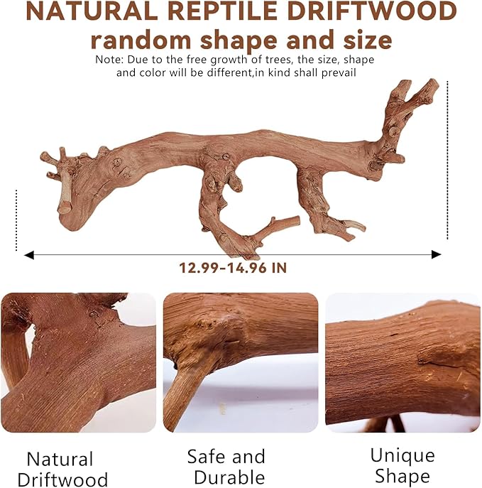 BNOSDM 2PCS Reptile Wood Branches Decor,Lizard Habitat Natural Wood Decoration,Snake Climbing Branch Accessories,Terrarium Tree Trunk Ornament for Bearded Dragon Gecko Frog Chameleon Spider