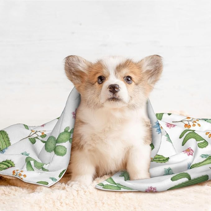 Double Sided Plush Pet Blanket with Cozy Dot Texture and Smooth Reverse, Watercolor Elements Succulent Plants Cactus, Reversible Throw for Dogs Cats on Couches Beds Crates