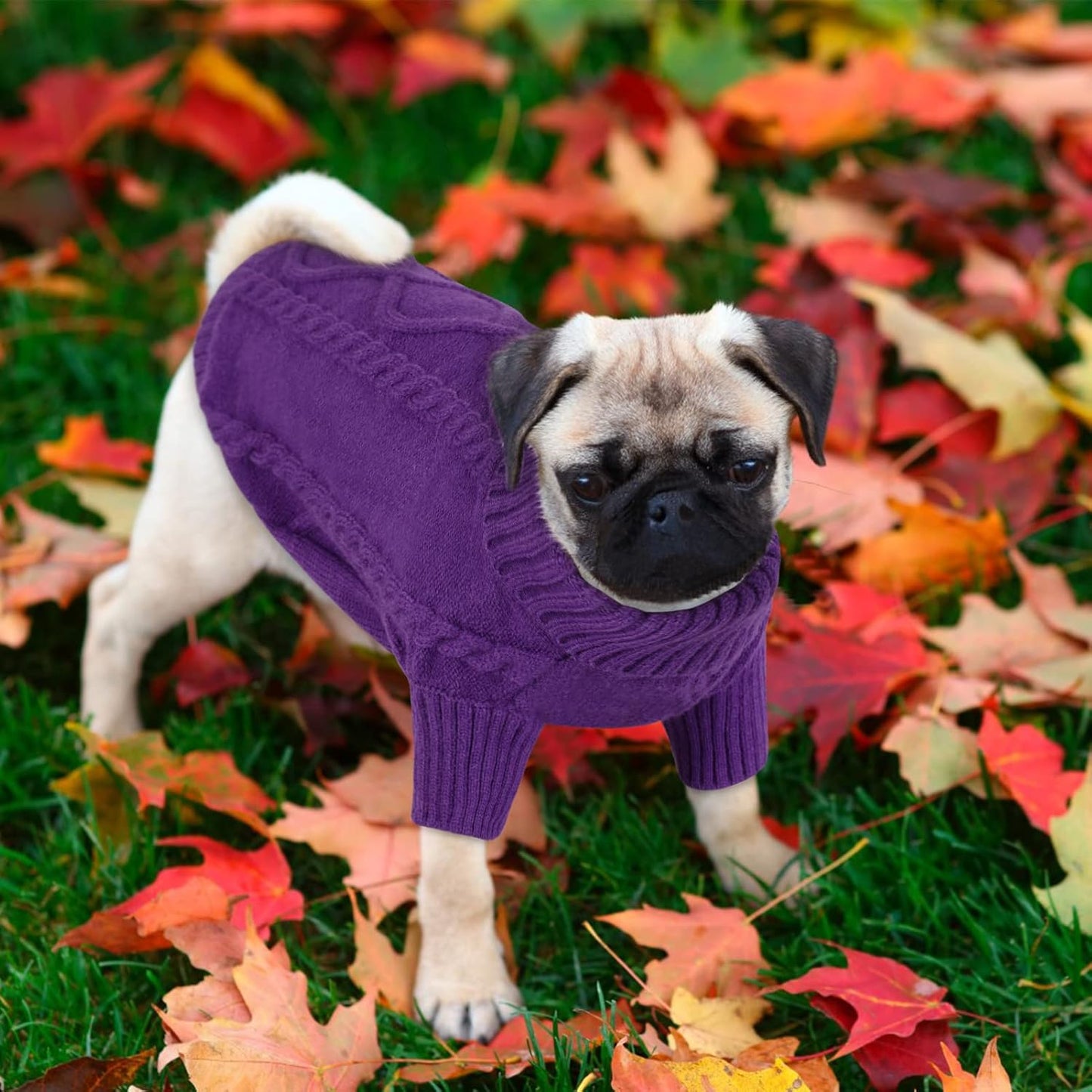 Queenmore Small Dog Pullover Sweater, Cold Weather Cable Knitwear, Classic Turtleneck Thick Warm Clothes for Chihuahua, Bulldog, Dachshund, Pug (Purple, Large)