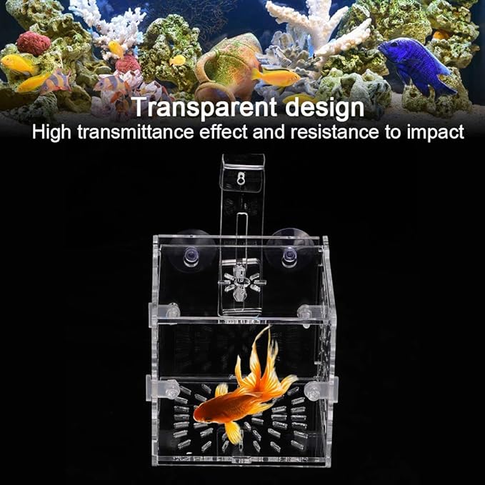 GLOGLOW Aquarium Breeding Isolation Box, Transparent Acrylic Fish Isolation Box Fish Separator with Suction Cups for Small Baby Fishes Shrimp Clownfish Guppy(10CM*10CM*10CM)