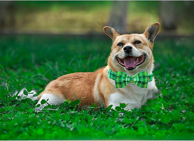 Lionheart glory Dog Bow Collar St. Patrick's Day Dog Collar for Large Dogs, Adjustable Green Plaid Collars Spring Dog Collar with Bowtie Pet Collar Bows Cute Collars