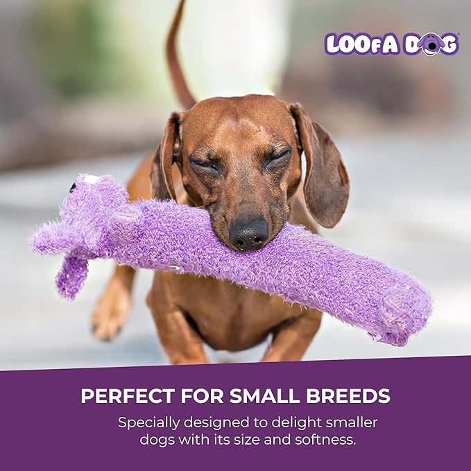 Multipet Original Loofa Reindeer Dog Plush Toy - Squeaky Toys for All Dogs - Extra Soft Plush - Stuffed Animal for Cuddling & Playing - Cute Dog Pet Toy (12”)