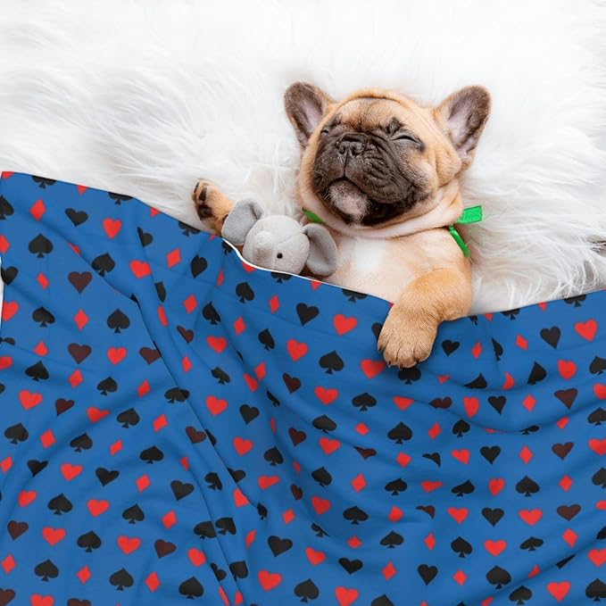 Dog and Cat Blanket in One, Poker Playing Cards, Double Sided Plush Throw with Raised Dot Pattern on One Side and Flat Velvet on Other for Variety