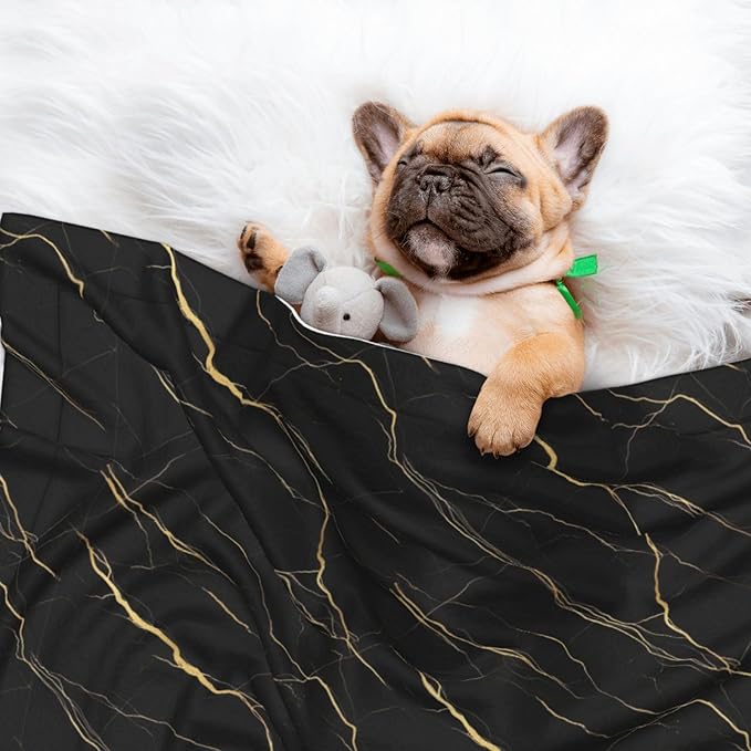 Pet Blanket for Couches and Beds, Chic Black and Gold Marble Texture, Reversible Double Sided Plush Design with Soft Bumpy Texture and Smooth Surface, Furniture Protector