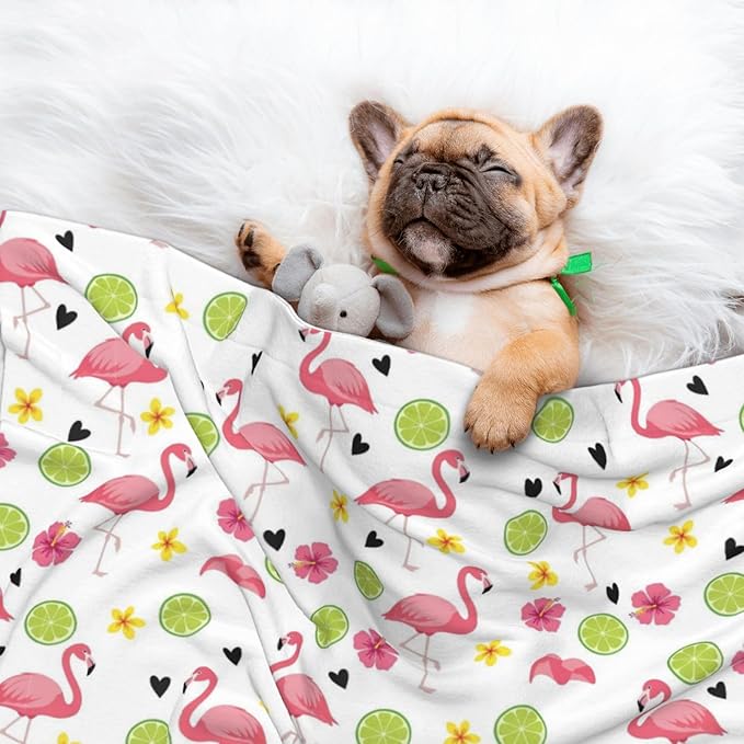 Pet Blanket for Couches and Beds, Cute Pink Flamingo, Reversible Double Sided Plush Design with Soft Bumpy Texture and Smooth Surface, Furniture Protector