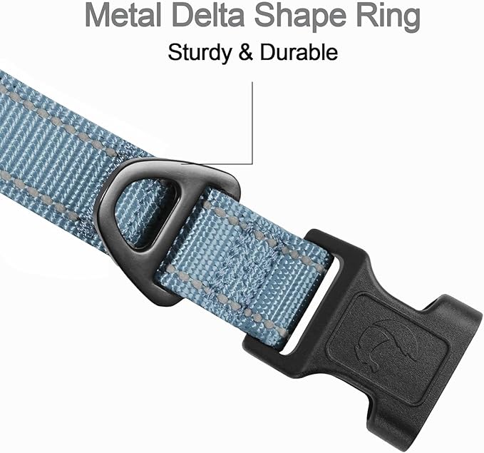 Joytale Reflective Dog Collar, Soft Neoprene Padded, Metal D-Ring, Nylon Pet Collar Adjustable for Extra Large Dogs, Gray, XL