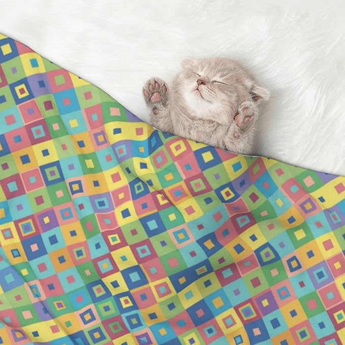 Reversible Plush Dot Pet Blanket for Dogs and Cats, Rainbow Diagonal Plaid, Ultra Soft Two Sided Design with Warm Fuzzy Side and Smooth Side for Comfort