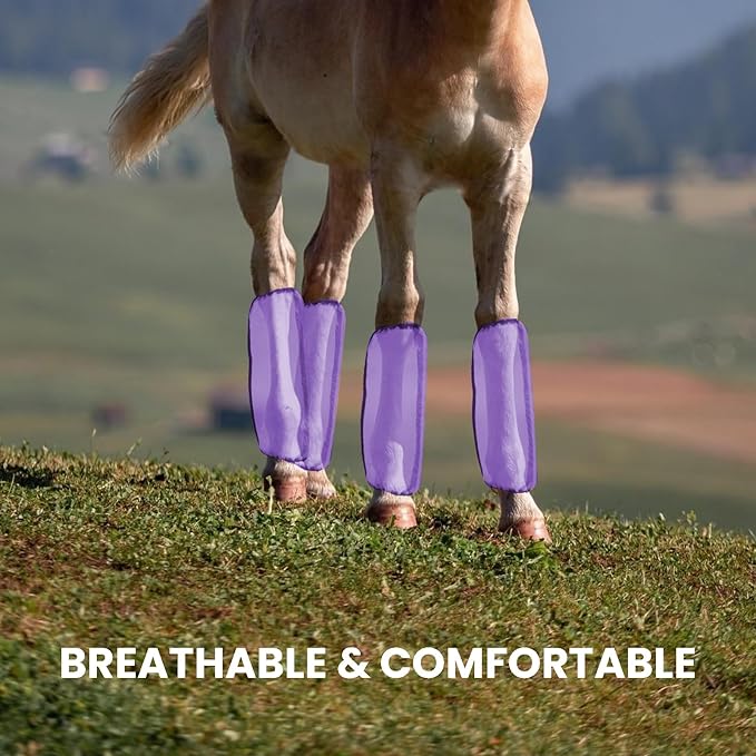 Mesh Fly Boots Horse Fly Boots Mesh Fly Wraps Leg Guard for Horse Set of 4