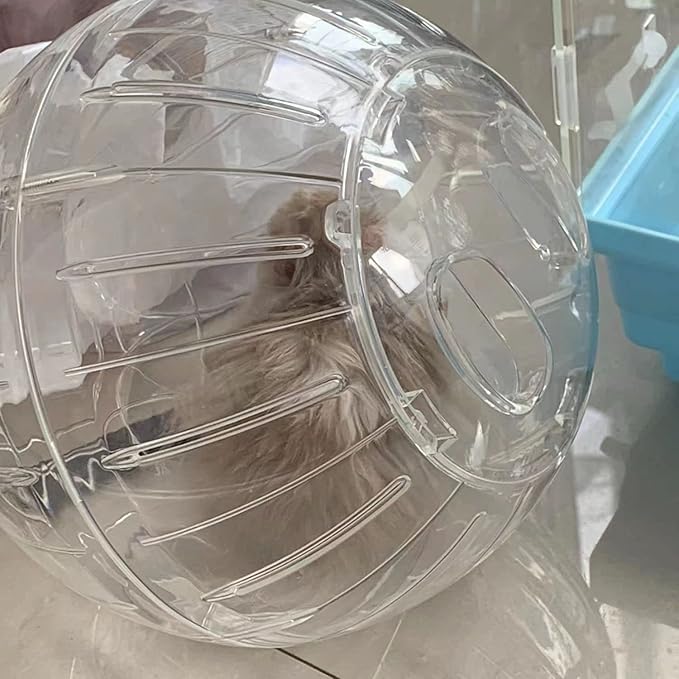 Hamster Exercise Ball Silent Hamster Wheel Small Animals Transparent Ball for Dwar Rat Relieves Boredom and Increases Activity (6 inch, Clear)
