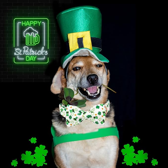 Lionheart Glory St. Patrick's Day Dog Collar - Adjustable Green Collar with Lucky Clover Shamrock Bow for X-Small Dogs