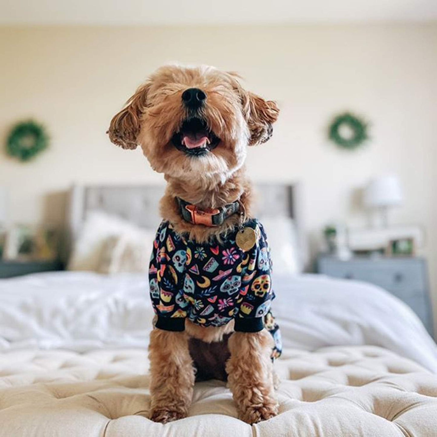 CuteBone Small Dogs Outfit Soft Puppy Onesies Pjs Halloween Dog Pajamas Pet Coat Cat Apparel Comfy Doggie Jumpsuit Bodysuit for All Seasons P73L