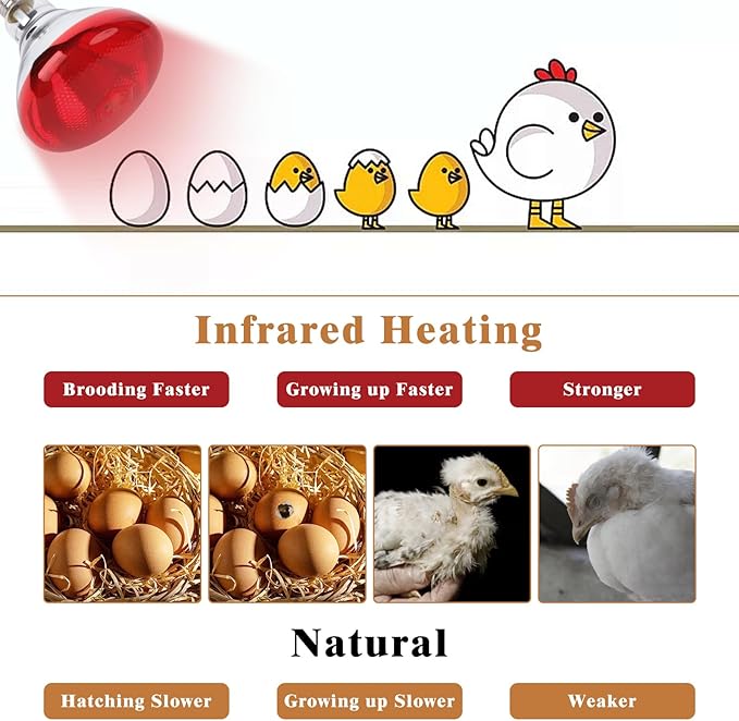 250W Red Heat Lamp Bulbs for Chicken,Infrared Flood Light Heat Lamp Bulb, Incandescent Light Heat Lamps for Chicks, Reptile, Pets, Par38 Glass E26 Base