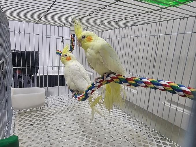 Bendable Fun Climbing Bird Cotton Rope Perch, Colorful Bungee Toy for Parrot, Bird Cage Accessories (31.5'' Metal Nut)