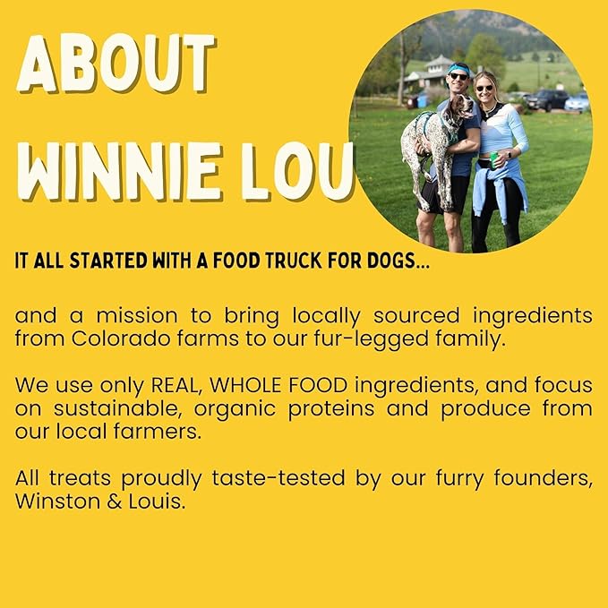 Winnie Lou Turmeric Bison Jerky Dog Treats – Limited Ingredient, Human Grade, Training Treats for Small, Medium & Large Dogs, USA Made, High Protein, Chews, Hypoallergenic, Sensative Stomach (2 Pack)