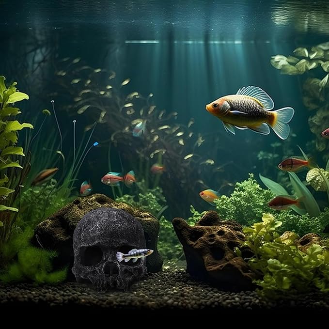 Resin Reptile Hideout for Tank Realistic Skull Decor for Terrarium Black Decorative Skeleton Head Hides and Caves for Fish Ball Python Axolotl Tarantula