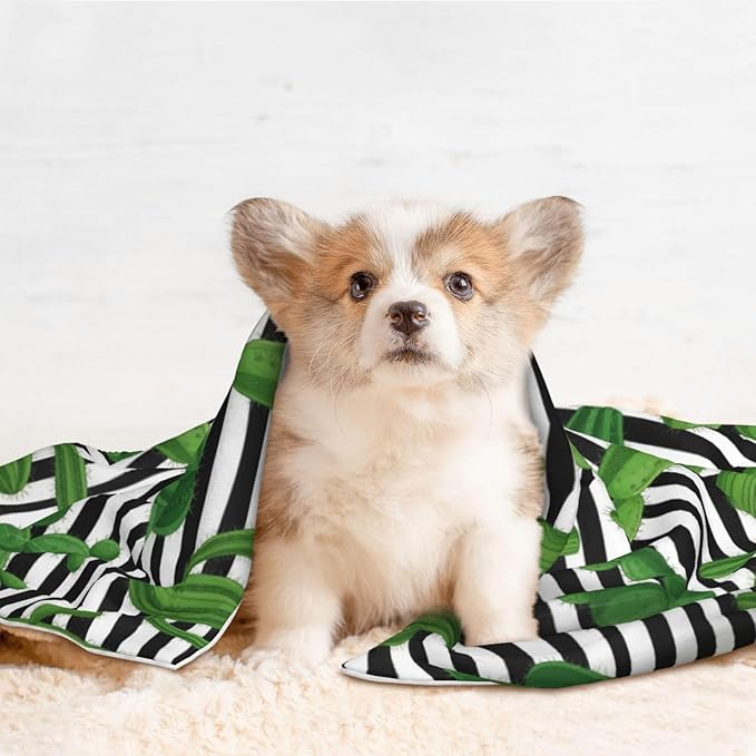 Two Sided Pet Cuddler Blanket for Anxiety Calming, Cactus and Stripes, Reversible Plush Design with Bubble Dot Pattern Provides Familiar Surface Anywhere