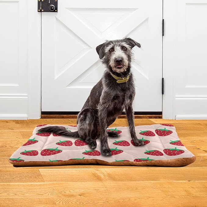 Pet Bed Strawberry Fruit Dog Bed Mat Absorbing Non Slip Pad Pet Sleeping Mat for Small, Medium, and Large Dogs Puppy Cat 36 in x 24 in