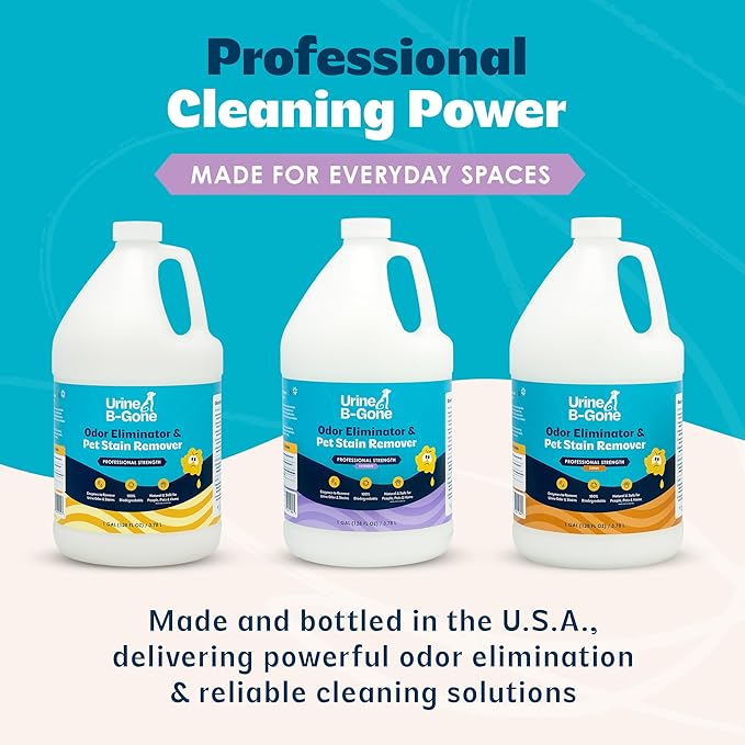 Urine B-Gone, Professional Enzyme Odor Eliminator & Pet Stain Remover, Human, Cat & Dog Urine Cleaner, Effective on Laundry, Carpets & More, Lavender Scent, 1 Gallon