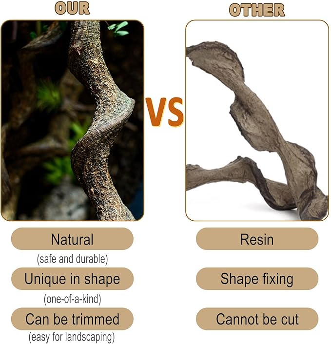 BNOSDM Reptile Forest Climbing Branch Decor Crested Gecko Climb Wood Natural Branches Tree for Snake Frog Chameleon Spider Bearded Dragon Terrarium Habitat Tank Accessories,3PCS