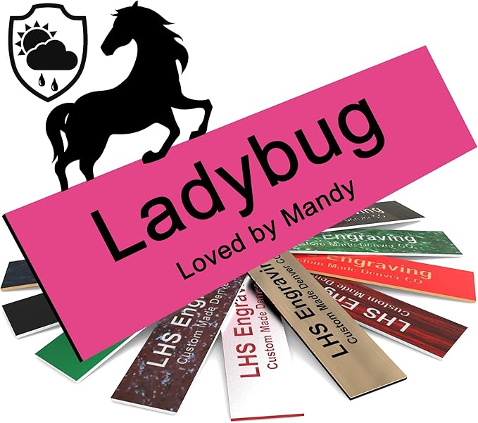 Personalized Horse Stall Name Plates, 2x8 Horse Stall Signs with Adhesive, All Weather UV Protected, Pink Plastic Black Letters - Made in USA - B12