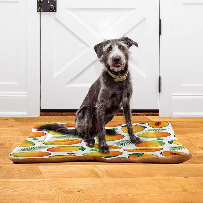 Mango Fruit Dog Beds Crate Pad Washable Pet Mat for Dogs Cats, Non-Slip Travel Bed Pad, Indoor Outdoor Kennel Pad 24x18in