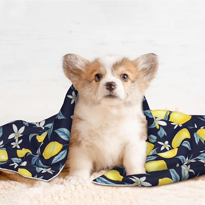 Pet Blanket for Travel and Home, Citrus Fruit Flower Lemon Green, Reversible Plush Dot Design with Soft Grip Texture on One Side Perfect for Car Seats Moving Vehicles