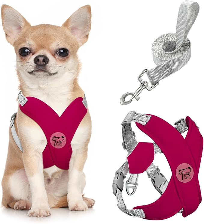 Pawaboo Small Dog Harness and Leash Set, Puppy Harness X-Frame No Pull No Choke, Dog Vest Harness Adjustable for Small Medium Sized Dogs, Soft Breathable Pet Harness for Walking Outing, S, Magenta