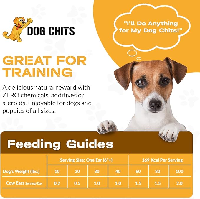 Dog Chits Cow Ears for Dogs – All Natural Cow Ear Dog Treats & Training Chews – High Protein, Low Fat – Thick Cut, Full-Sized – Dental Clean Crunch – Ideal for Medium & Large Dogs – Large, 10 Pk