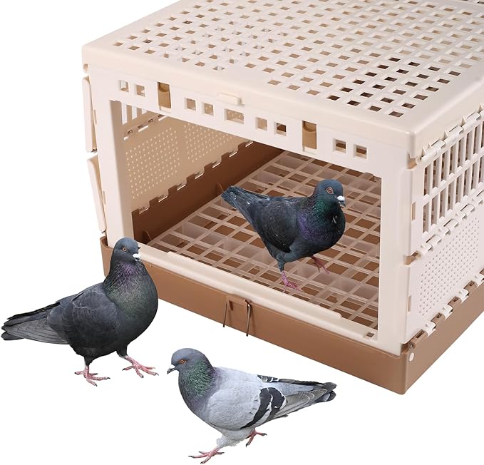Plastic Foldable Pigeon Cage with Handle, Portable Bird Travel Carrier Cage Pigeon Cage Pairing Cage Pigeon Nest Box Easy to Clean for Training and Release Competition(M)(Three Doors)