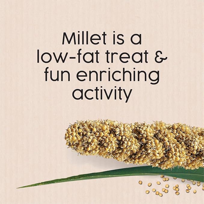 Sun Seed Company Bss10911 Small Bird Millet Spray Treats, 5-Pound