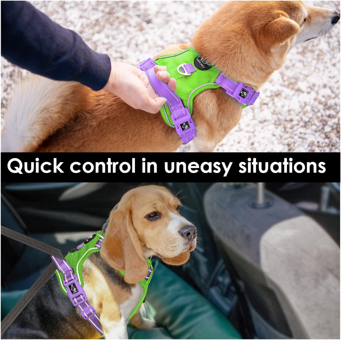 PHOEPET No Pull Dog Harness, Unique Colors Reflective Adjustable Dog Vest, with Soft Training Handle Metal Clips for Small Medium Large Dogs (Green Base & Purple Straps,L)