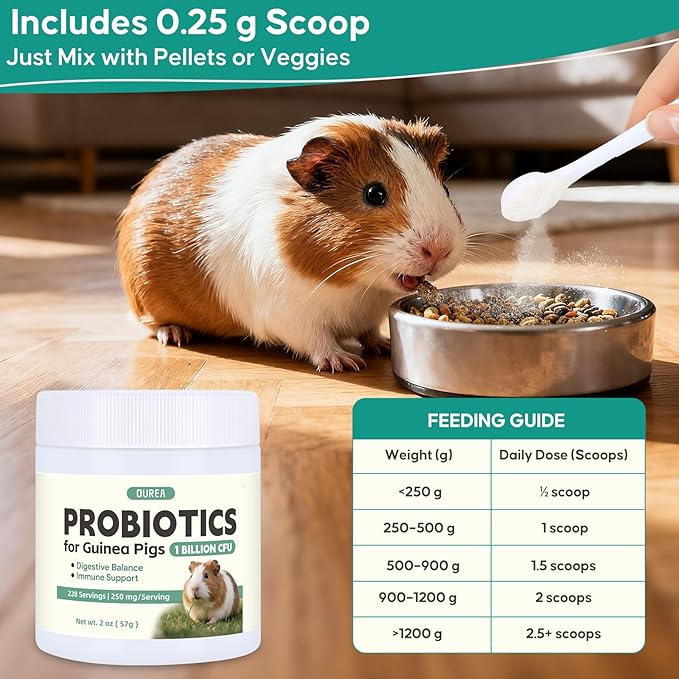 Probiotics for Guinea Pigs, All-Natural Digestive Support Powder, Easy to Mix Daily Gut Health Supplement for Guinea Pig, Helps with Soft Stool, Stress, Diet Change, 1 Billion CFU, 228 Servings
