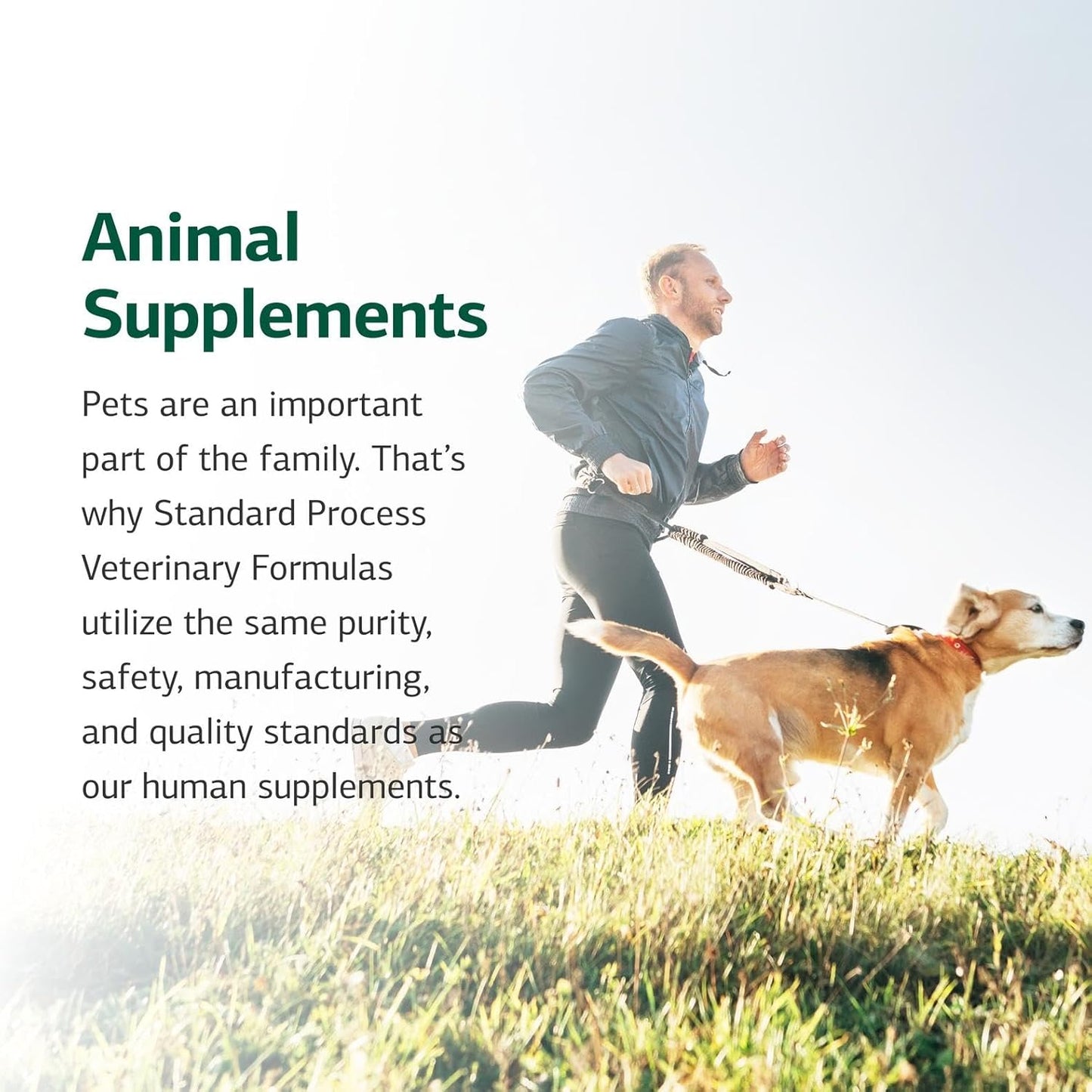 Standard Process Inc. VF Thymex for Pets - Cat & Dog Immune System Support Supplement - Thymus Supplement to Aid Canine & Feline Immune Health - Supplement with Vitamin C - 90 Tablets