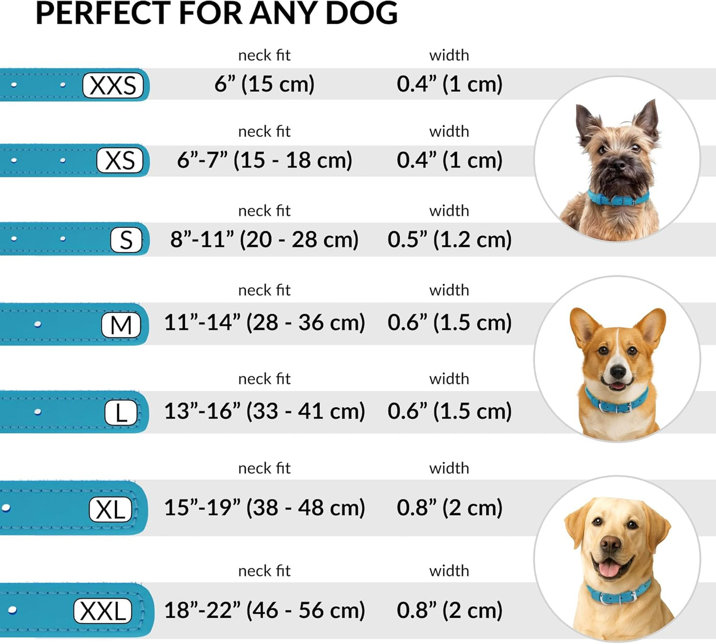 CollarDirect Rolled Leather Dog Collar, Soft Padded Round Puppy Collar, Handmade Genuine Leather Collar Dog Small Large Cat Collars 13 Colors (13-16 Inch, Light Blue)