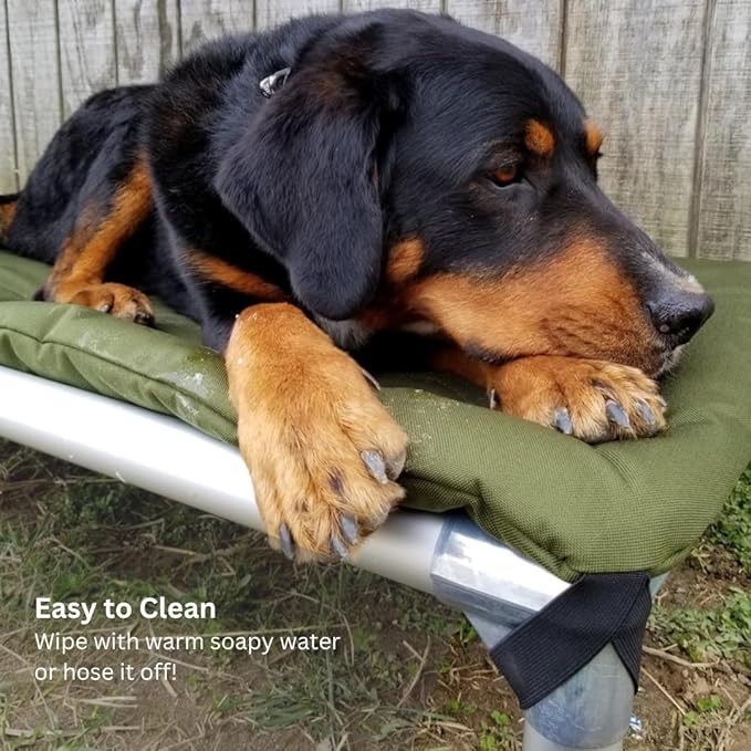 Kuranda Chewproof Elevated Pet Bed - Silver Aluminum - 40" x 25" - Sunsure Textilene - Sierra