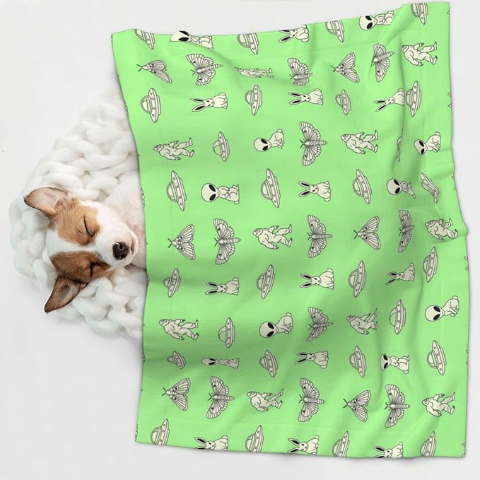 Two Sided Plush Pet Blanket for Crates Carriers Home Use, Aliens Sasquatch Savage Dinosaurs Green, Reversible Throw with Cozy Dot Fabric and Silky Reverse for Small Large Pets