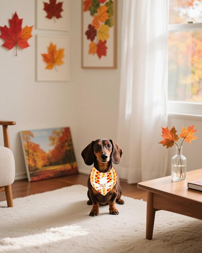 PET SHOW 50 Pack Fall Dog Bandanas Bulk Washable Thanksgiving Autumn Maple Leaves Scarves Puppy Pumpkin Triangle Bibs Kerchief Set Cats Girl Boy Grooming Accessories