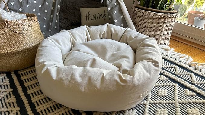 Organic Cotton Canvas Dog Bed: Removable Cover, Natural Fill - Made in USA (Natural, Medium 28" x 8" inches)