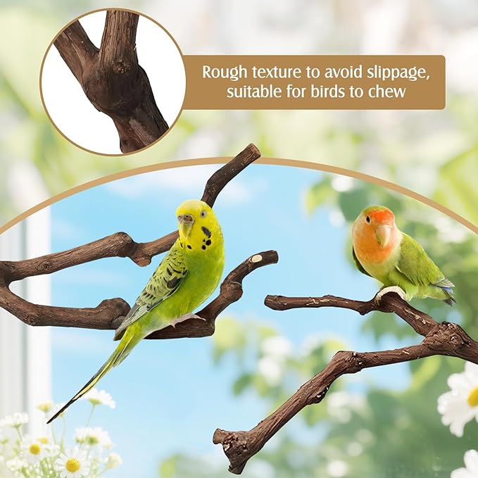 PINVNBY Natural Parrot Perch Grape Wood Bird Stand Pole Parakeet Paw Grinding Fork Chewable Climbing Branches Toy Bird Cage Accessories for Budgies Conures Cockatiels Lovebirds (2 PCS, 5.9IN)