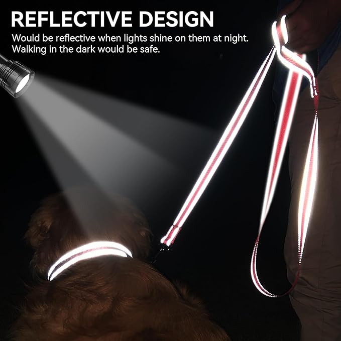 Joytale Dog Leash, 5 FT Double-Sided Reflective, Padded Handle Nylon Heavy Duty Leashes for Small Dogs Walking, Neon Pink