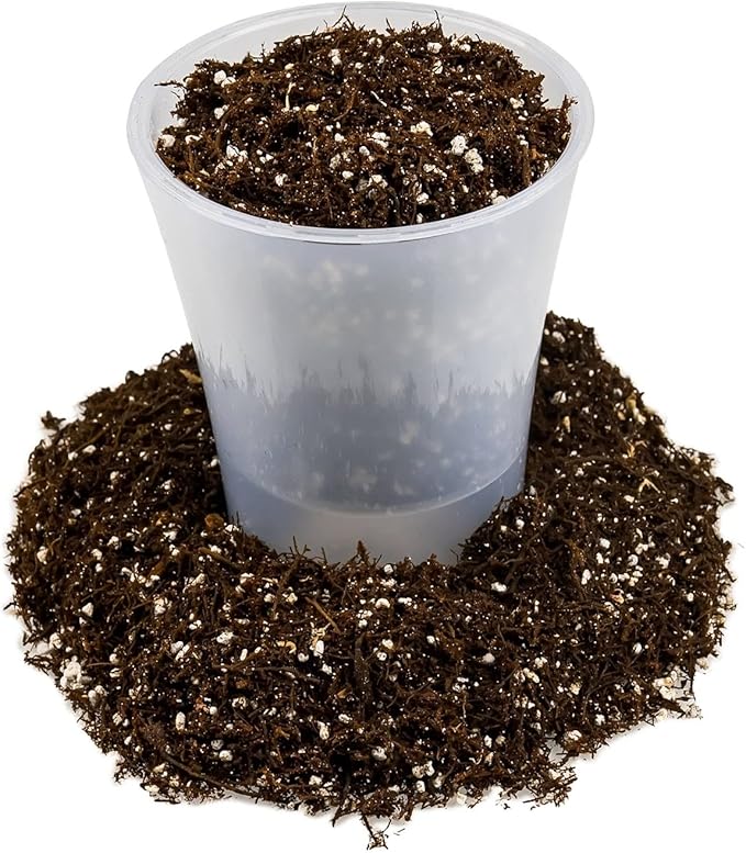 Gardenera Fern + Perlite Soil Mix - 10 Quart - for Repotting and Planting Succulents and Cactuses (2 Bags of 5 Quart)