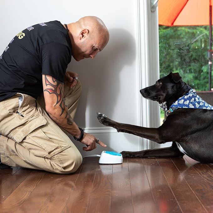 Dog Potty Training Talking Button & Service Dog Medical Alert System. Instant Notifications. 24/7 Live Camera. 2-Way Speaker. iOS & Android Compatible. No Subscription Needed.
